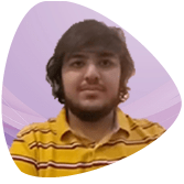 آرین علوی رضوی